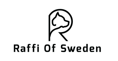 RaffiOfSweden